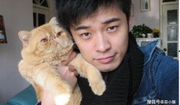 吃瓜娱乐赵小瞒小猫,吃瓜娱乐界的甜蜜萌宠